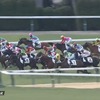 ダート替わりで一変あるか！？今日出走のスノーグレースの結果報告です。