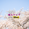 2021年 Nikon で撮る 桜スナップ