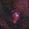コーン星雲　NGC2264