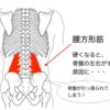 【腰痛対策】骨盤の左右の歪みを整える・腰の筋肉ストレッチ