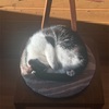 普段の呼吸
