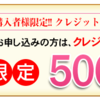 マユライズの通販【今だけ89％オフ！】500円購入送料無料はコチラから