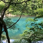 恋文の技術 に登場するおっぱいに関する名言まとめ ただイケ Webサービスを作ったレッサーパンダのブログ 恋文の技術 に登場するおっぱいに関する名言まとめ ただイケ Webサービスを作ったレッサーパンダのブログ