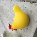 一億総ハラキリ社会