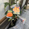 ２０２１年　植樹