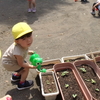 今日の幼稚園