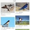 8月・葉月・燕去月・雁来月