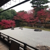 【寺巡り】京都で石庭見ながら紅葉鑑賞！開山堂庭園 龍淵水の庭