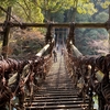秘境！祖谷のかずら橋