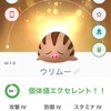 ホリデー3日目✨キラキラユキカブリ✨✨✨