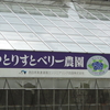 第3回おおとよブルーベリー収穫祭に行ってきました（後半・ゆとりすとベリー農園編）