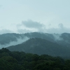 鴬の春になるらし春日山･･･巻第10-1843～1845
