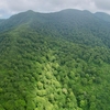 村山葉山 まっと沼・トンボ沼（山形県大蔵）