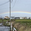 久し振りに虹を見ました🌈