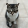ほんの少し増やすだけで、満足度が格段に上がるようで・・