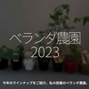 2030食目「ベランダ農園2023」今年のラインナップをご紹介。私の部屋のベランダ農園。