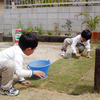 芝張り作業の続き ～ その② ～