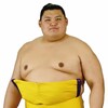 大の里はなぜ強い？史上最速13場所で横綱昇進の理由と稀勢の里以来8年ぶり日本人横綱誕生の意味