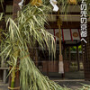 新熊野神社・夏越大祓の茅の輪
