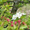 平和公園の自然の中を歩く