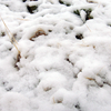 「大雪」の日の雑感