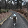 芽吹き前のあづみの公園をお散歩