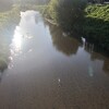 露白むころ、澄んだ秋の空気に満たされて。