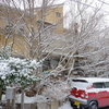 寒波に覆われ、各地豪雪の日に改めて思う「これからの暮らしを守るためにできること」