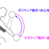 ネガティブトレーニングは筋肥大に効果的なのか？〜最新エビデンスを知っておこう