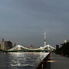 隅田川テラス8キロ：中4日で走るテラスは速く走りすぎた