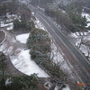 雪だー！２～オケ練中止・・・