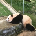 うつ病と仕事と生活と