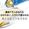 【映画レビュー】『君たちはどう生きるか』意味？そんなものは分からないけれど...ただただ惹かれる映画