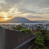 鹿児島旅行2泊3日レポ　2022年4月　-桜島の猫スポットと居酒屋石蕗-