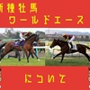 新種牡馬ワールドエースについて