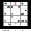 詰将棋迷路