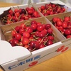 我が家で全国美味いもの市開催中～北海道のさくらんぼ～