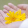 「障害受容なんてできるか」