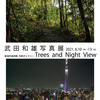 写真展 Trees and Night View の総括