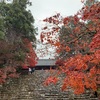 神護寺　京都