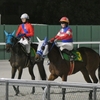 パドック煩い→逃げ→向正面から失速も→最後１頭差し返し10着