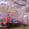 桜電車：ヤマザクラと富山もよう