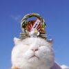 明けましておめでとうございます。