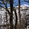 のろさんと東熊遊山　辿り着く