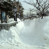 記録的な大雪に見舞われております！