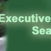 HRM3: Executive Search