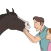 短編童話 The Horse Vet - 馬もかぜをひくの？