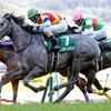 競馬初心者必見☆馬券予想🔥〜福島牝馬ステークス〜