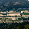 丹那夕景