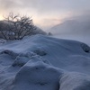 夜に降り、意外と積もった春の雪